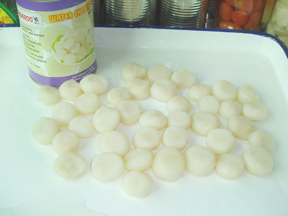 2950g Canned Water Chestnut Sliced in Tin
