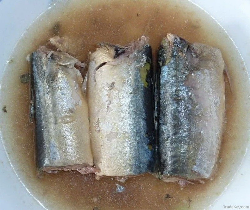Canned Fish Canned Mackerel in Tomato Sauce