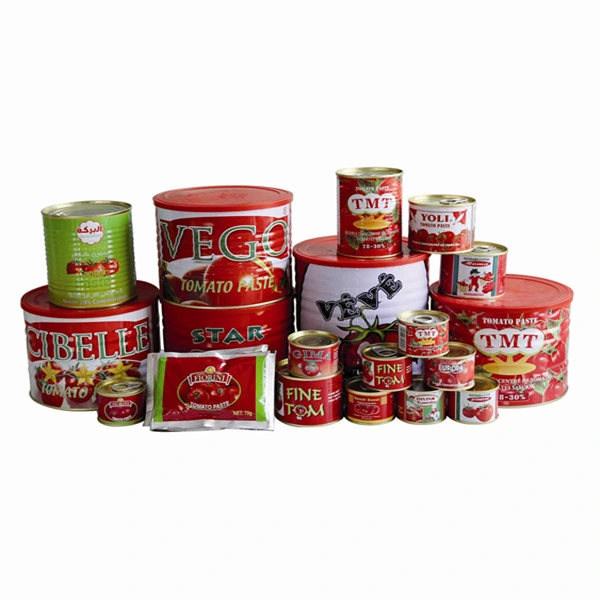 Italian Canned Foods--Canned Tomato Paste Easy Open