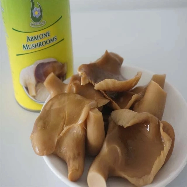 Canned Abalone Mushroom in Brine425g Clear Edible Fresh Water Mushroom with Superior Quality