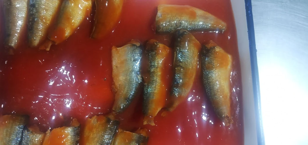 Canned Food Canned Fish Canned Sardine/Tuna/Mackerel in Tomato Sauce/Oil/Brine 125g 155g 425g
