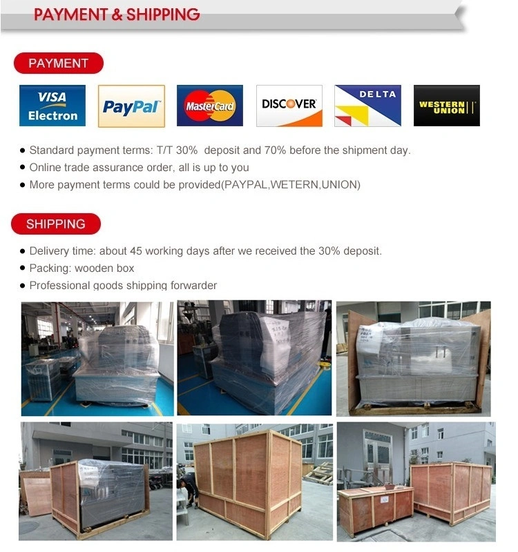 Automatic Dried Pork Beef Jerky Rotary Packaging Machine with Ce Certificate