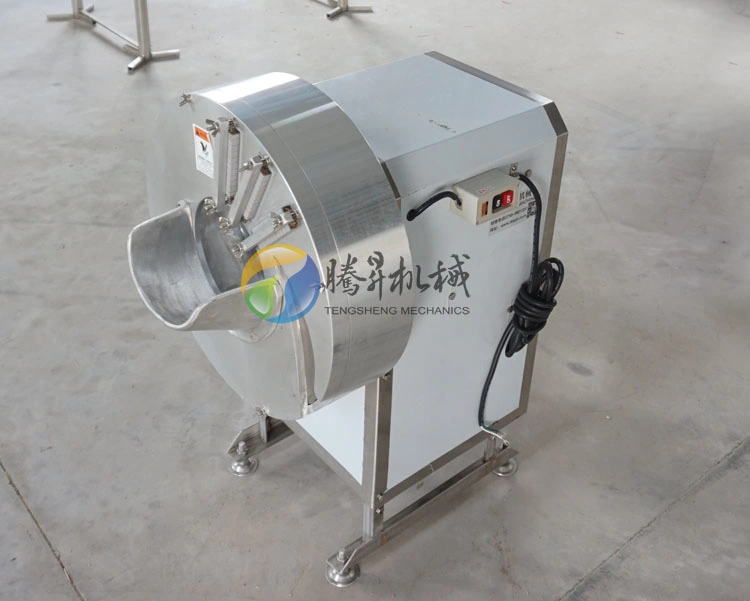 Food Machine Hotel Potato Ginger Bamboo Shoot Shredding Machine Lemon Slicing Machine (TS-Q100)