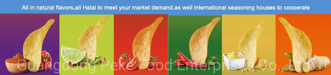 Halal Food-Snack-Chips-Potato/Corn/Multi Grain