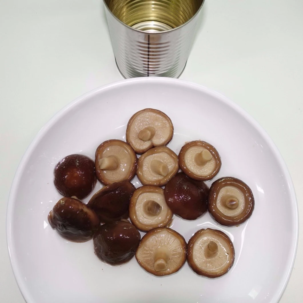 Canned Mushroom Canned Champignon Whole/Sliced/P&S with Private Label