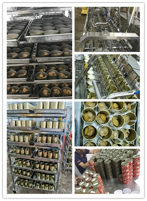 Competitive Price Fresh Frozen Braised Canned Abalone