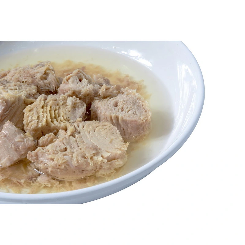 Fish Canned Fish Canned Tuna Chunk/Flakes in Oil 170g