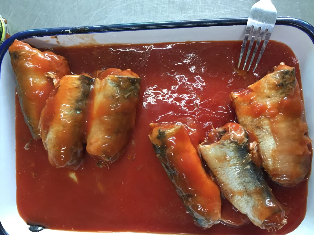Exporter of Canned Sardines in Tomato Sauce