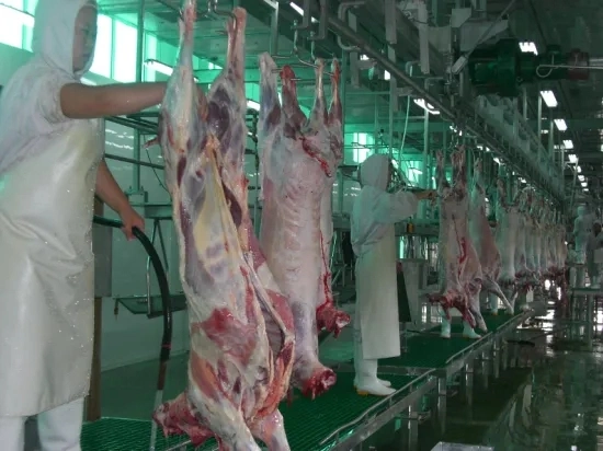 Sheep Slaughter for Mutton Production Line Halal Meat Plant Application with Chilling Room for Slaughterhouse