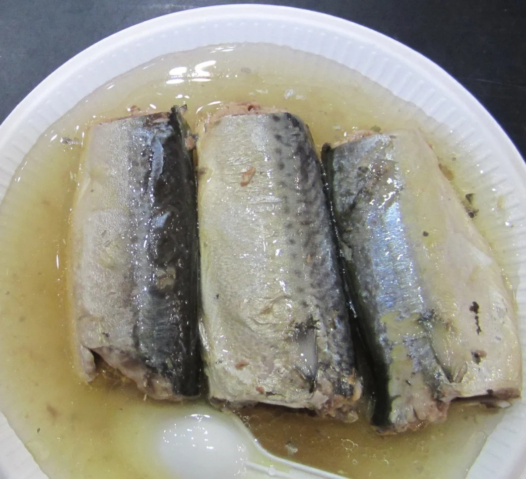 Canned Fish Canned Mackerel in Tomato Sauce 155g