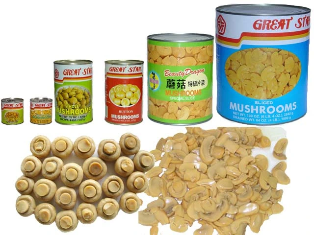 Canned Food Canned Vegetable Whole Mushroom with Super Quality