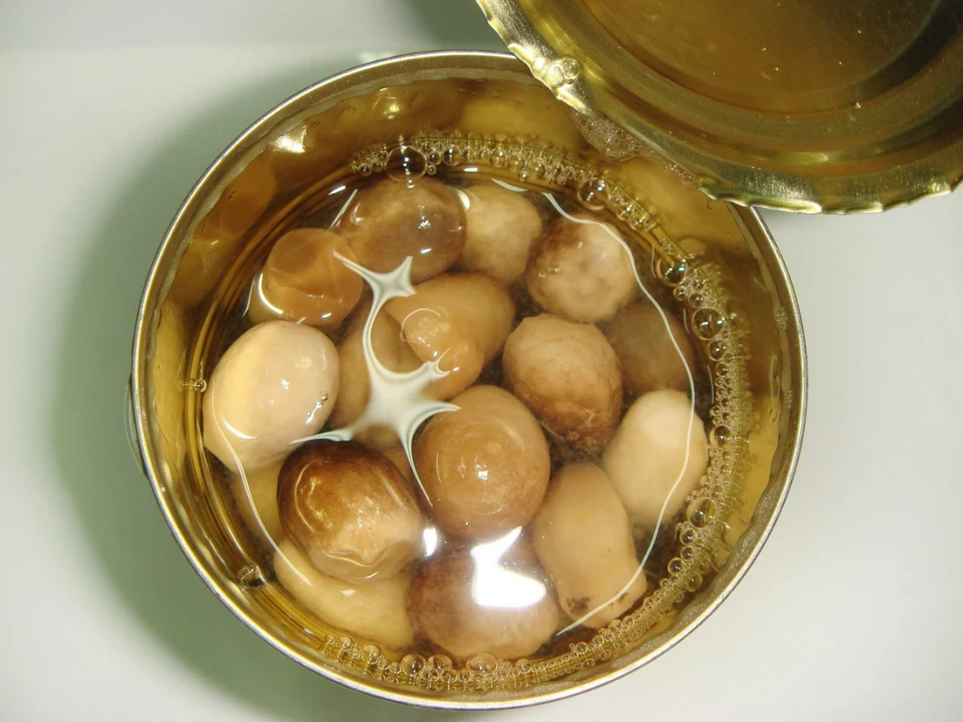 Canned Fresh Straw Mushrooms in Tin/Jar Packing
