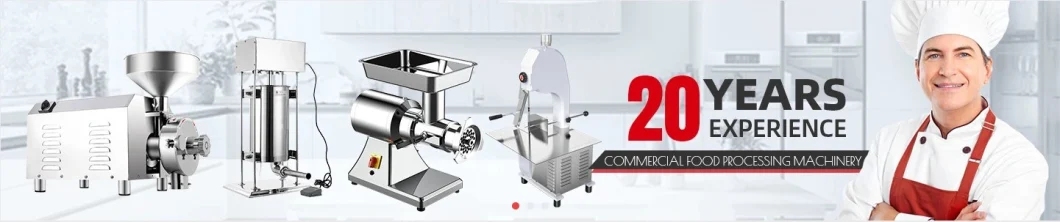 New Product in 2020 Meat Mincer Plate Commercial Meat Mincer and Home Meat Mincer