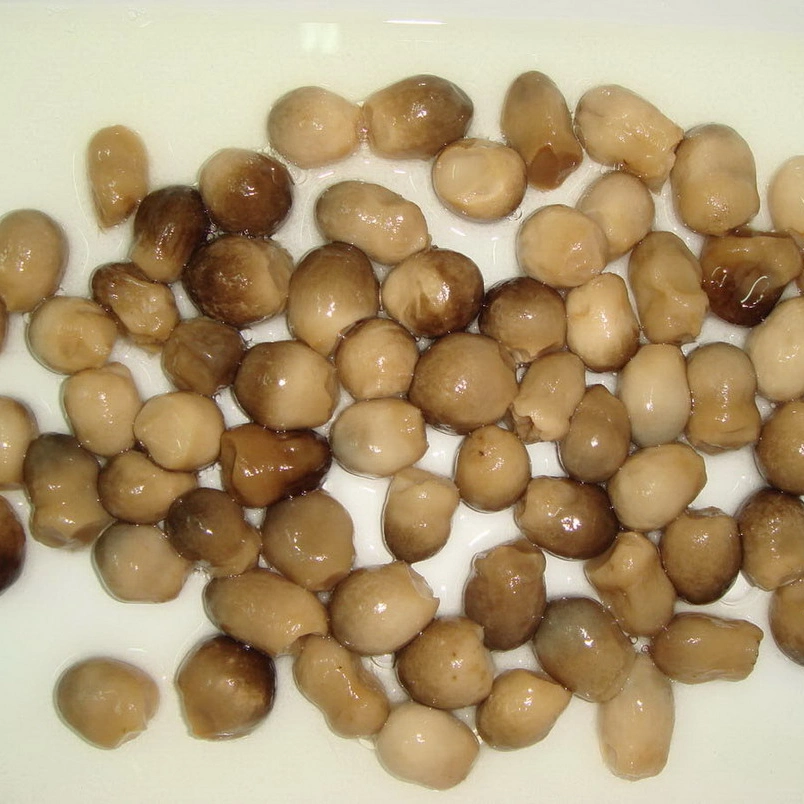 2021 Canned Food Canned Mushroom Pieces & Sliced Grade a