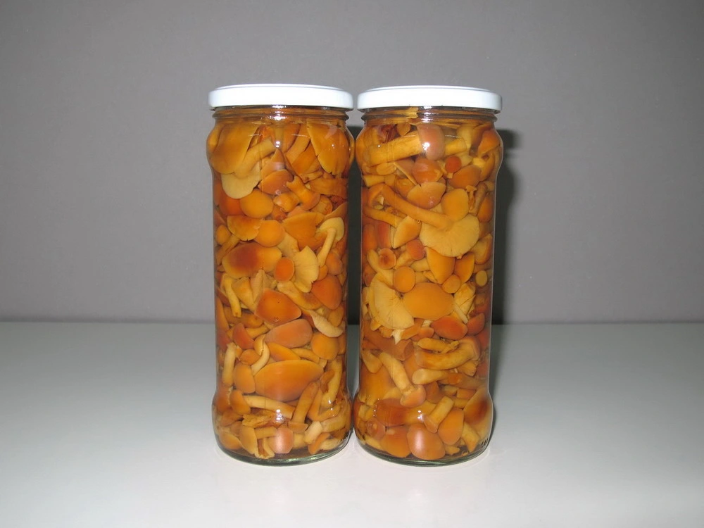 China Canned Food Nameko Fresh Mushroom in Glass Jar 580ml