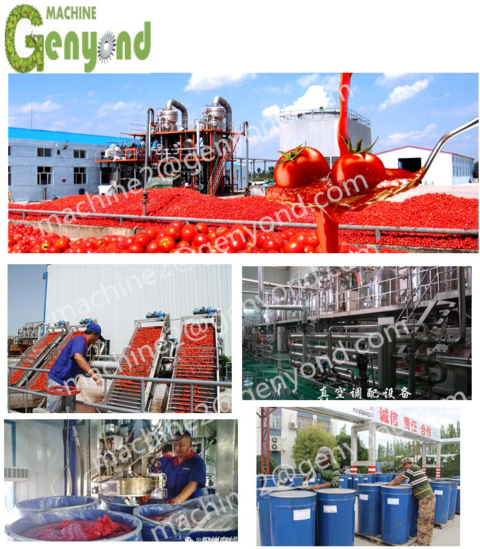 Trending Hot Products Canned Tomato Ketchup Processing Line