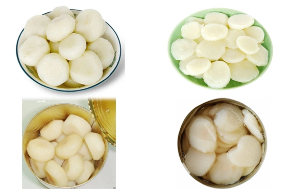 Canned Food Canned Water Chestnuts with OEM Factory