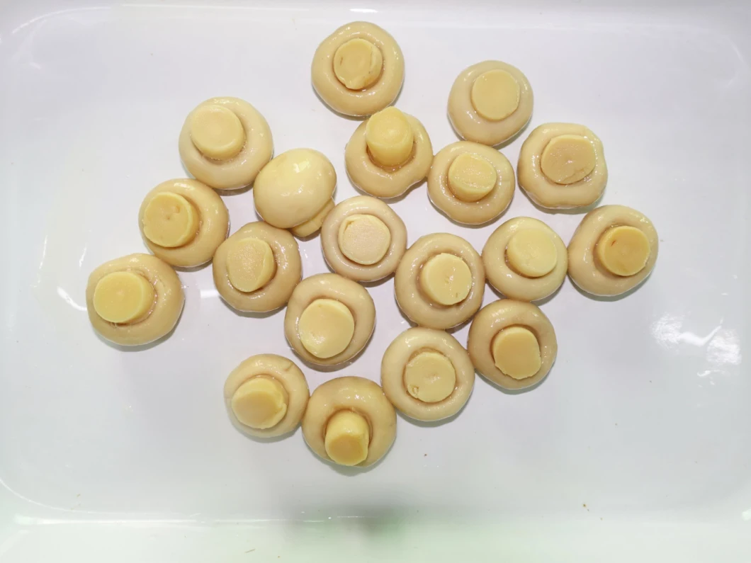 China Manufacturer Canned Mushroom Whole Fresh Mushroom in Brine