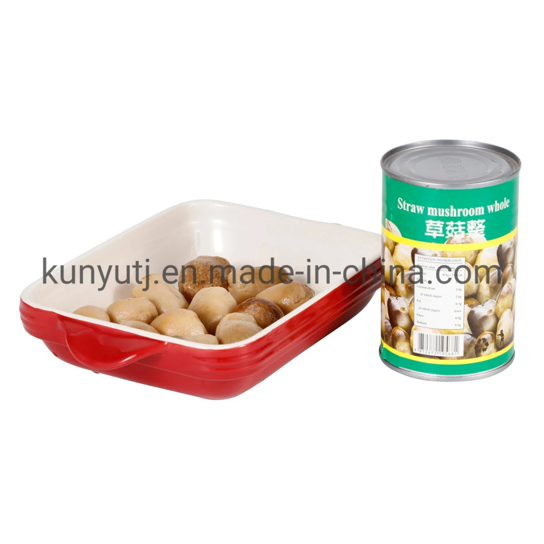 Canned Straw Mushroom with High Quality