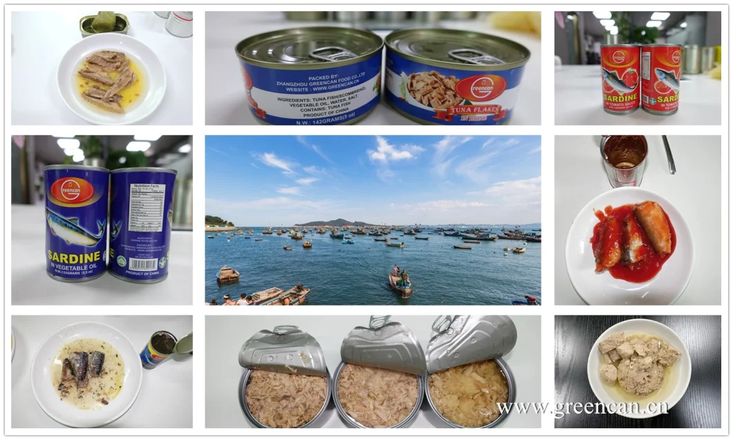 Health Food Fresh Seafood Canned Sardines in Tomato Sauce with Private Label