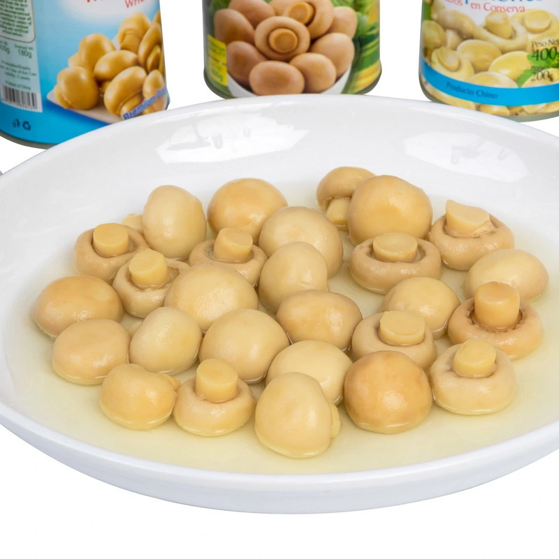 Canned Food Canned Whole Button Mushrooms From China