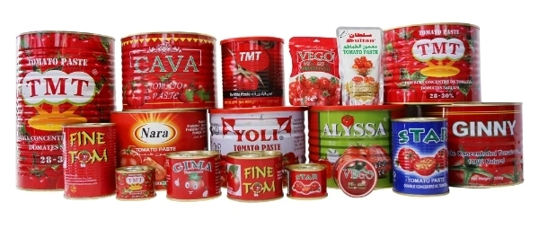 Specification Tomato Paste Sauce in Tins From Prc
