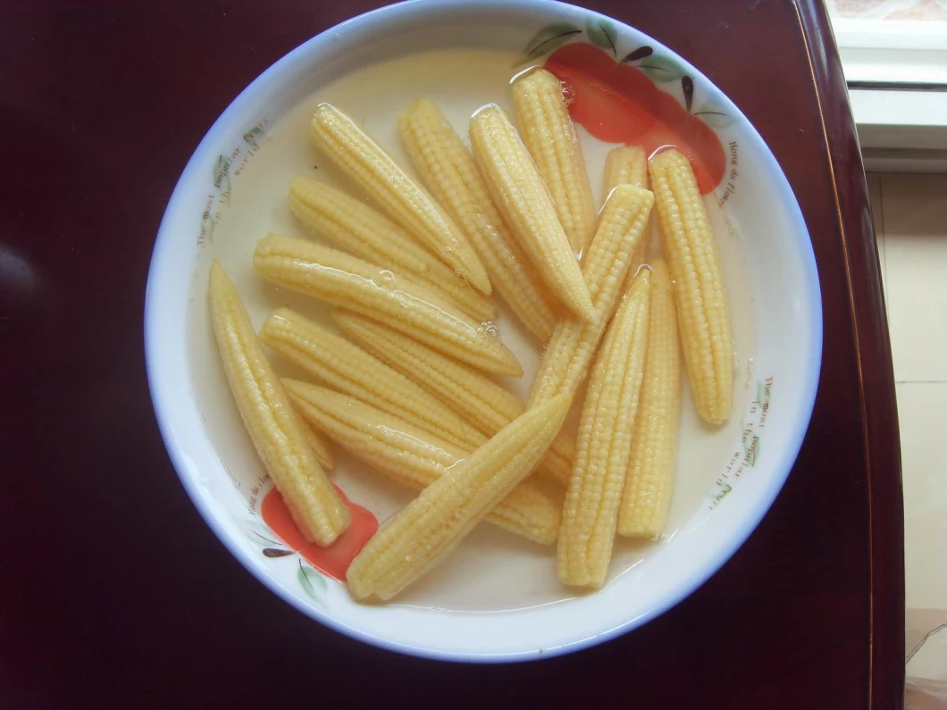 Canned Food Canned Young Corn From China
