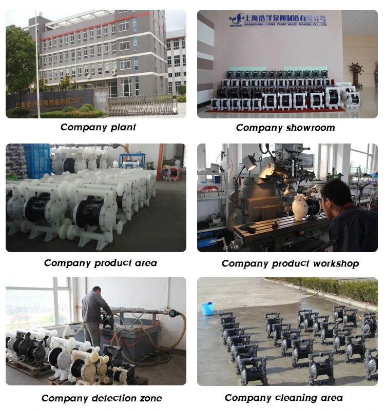 Made in China Food Grade Pneumatic Stainless Steel Diaphragm Pumps