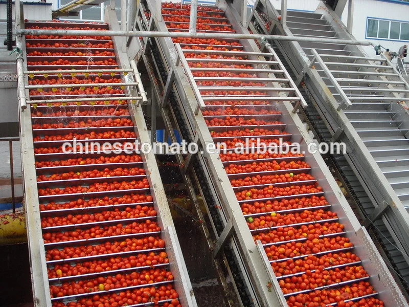 Tomato Paste Sauce in Tins for Chinese Factory