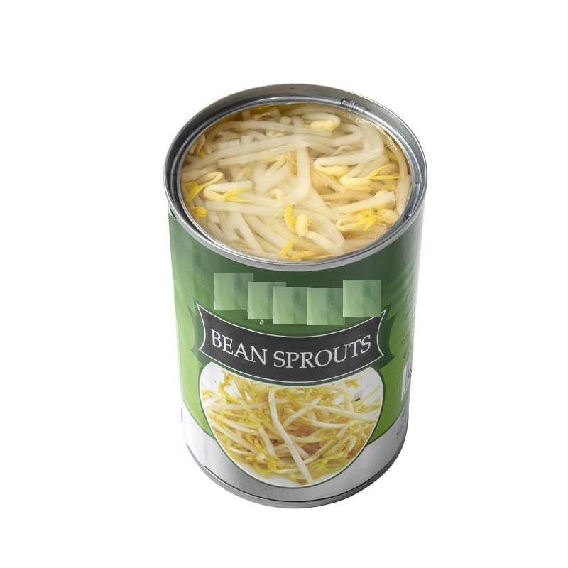 Canned Vegetables Canned Bean Sprouts with Best Price