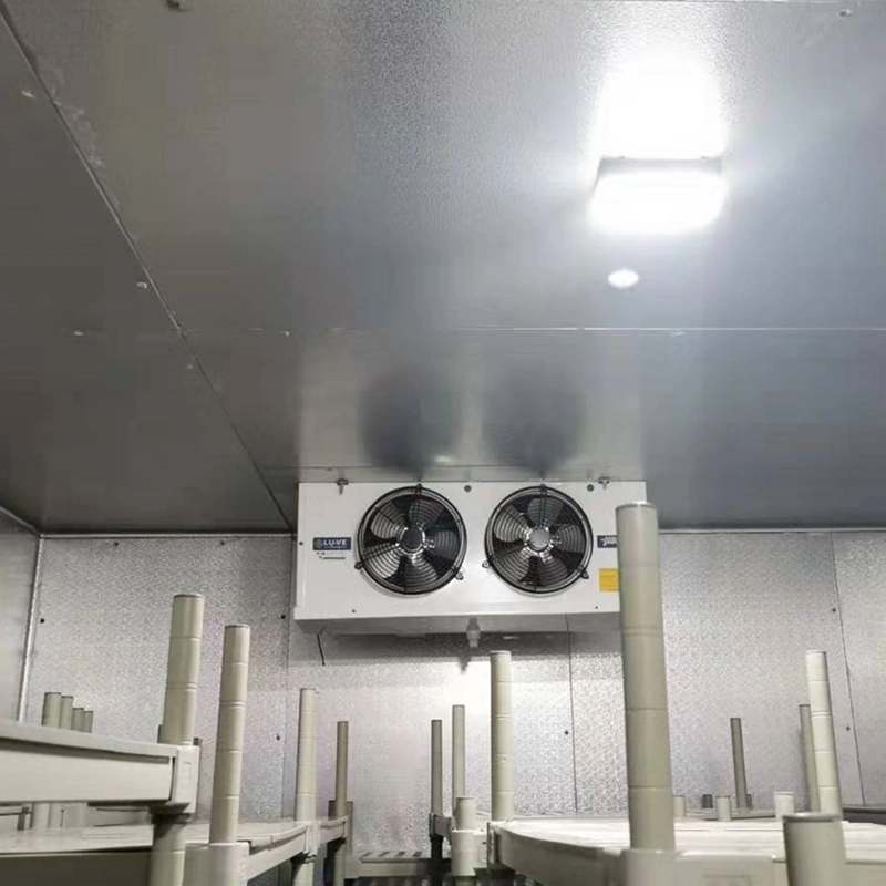 China's Hottest Product Meat Cold Room Cold Room for Meat Cold Storage Room Freezer