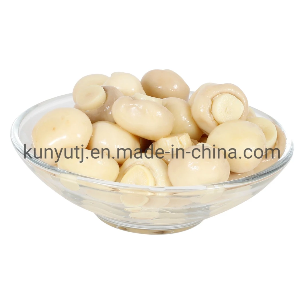 Canned Straw Mushroom with High Quality