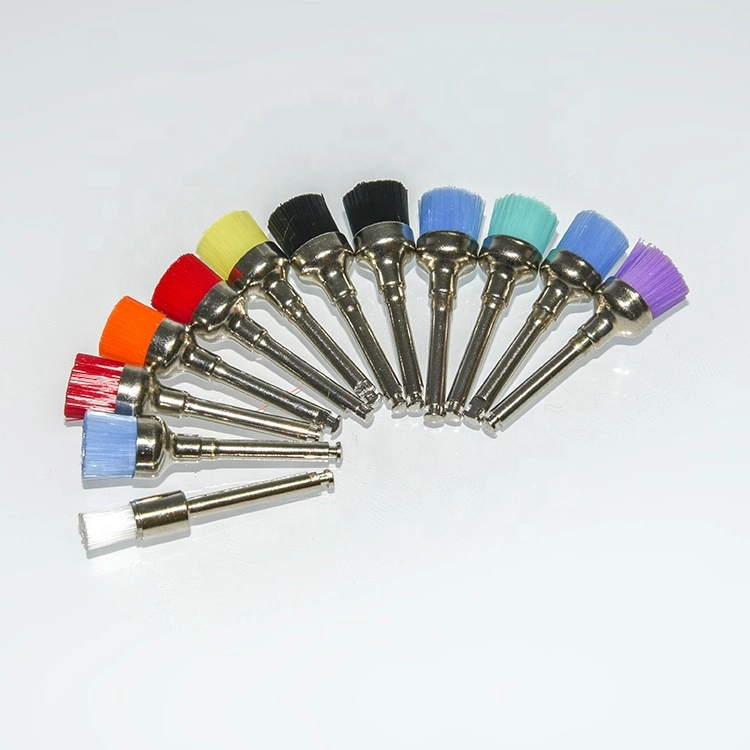 Dental Polishing Prophy Brushes Color Prophy Cup Supply