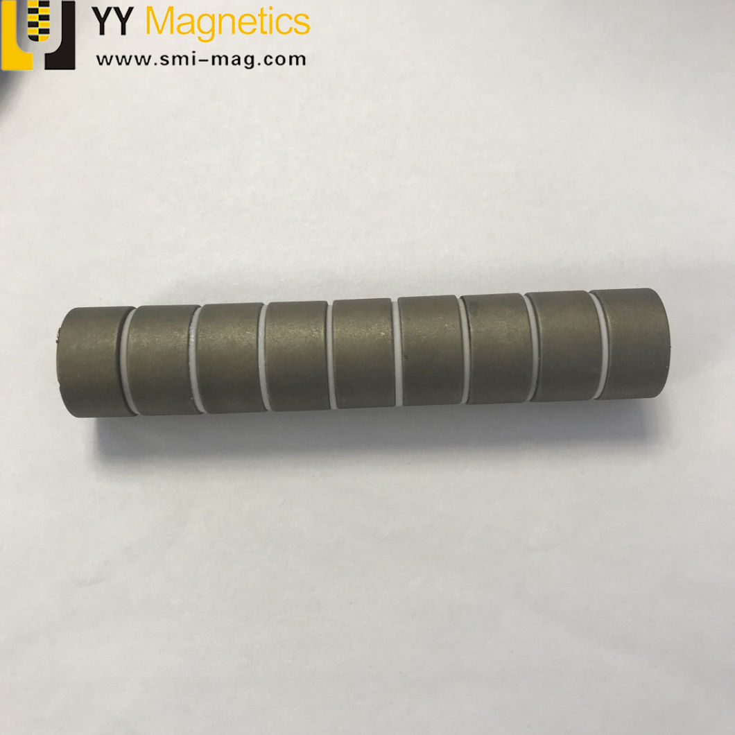 Cylinder Permanent Rare Earth SmCo Magnet for Speaker Sound Box / Car Wiper Motor
