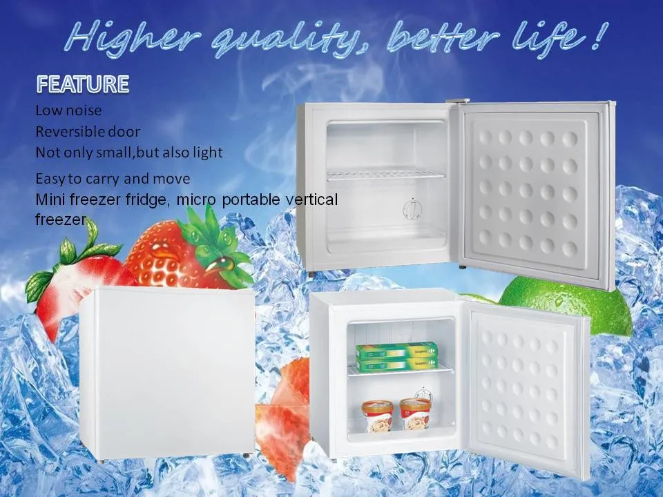 Bd-40 Courage Top Open Door Vertical Freezer and Chiller Change Over Small Mini Freezer
