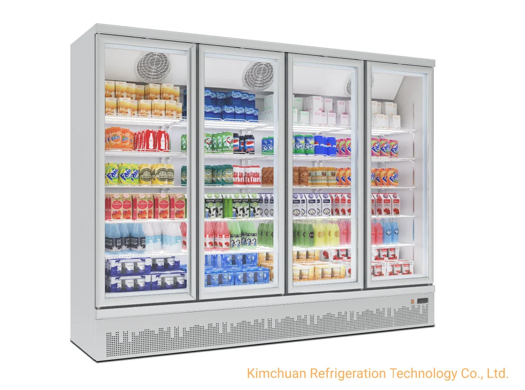 Chiller Display Commercial Refrigerator Deep Fridge portable Fridge
