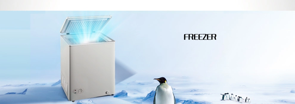 Black White Portable Gas Fridge Freezer LPG Kerosene Absorption Freezer