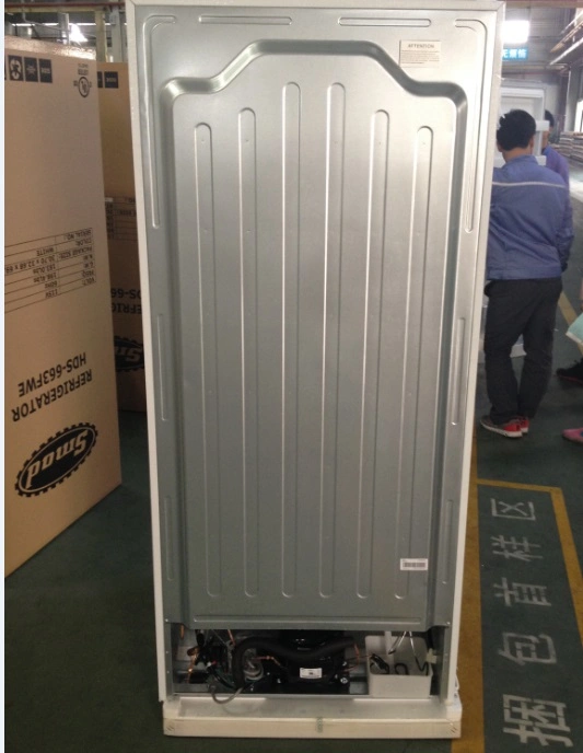 115V 60Hz Freezer Refrigerator Manufactures Electric Compressor Fridge
