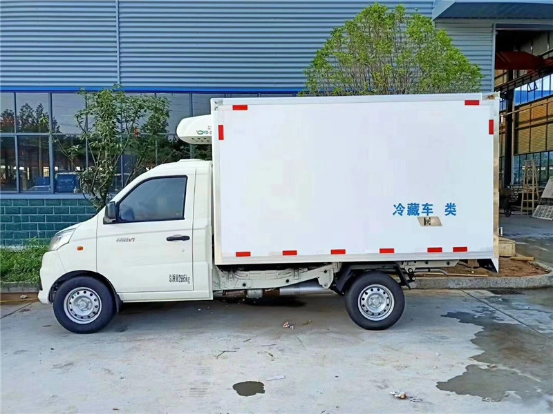 1 Ton 2 Tons Small Car Freezer Foton Cold Room Van