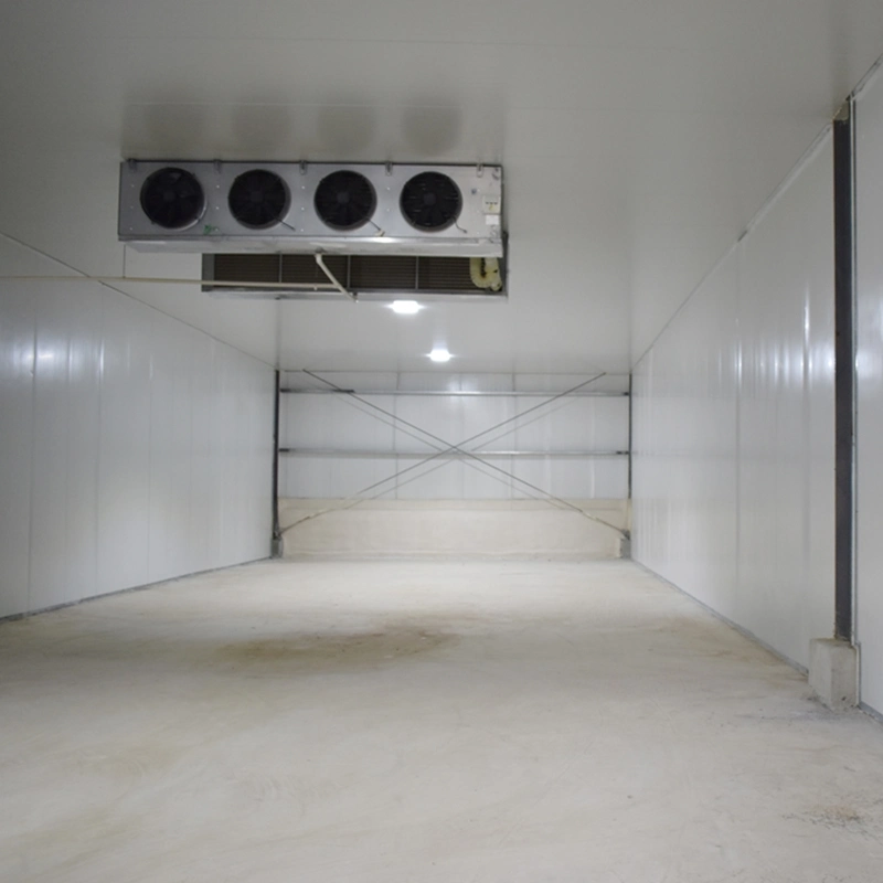 20FT 40FT Container Freezer Cold Storage Room and Chiller Freezer Container with Bitzer Compressor