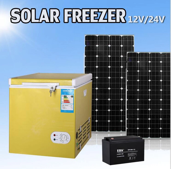 12V DC Compressor Solar Power Mini Refrigerator Freezer Fridge