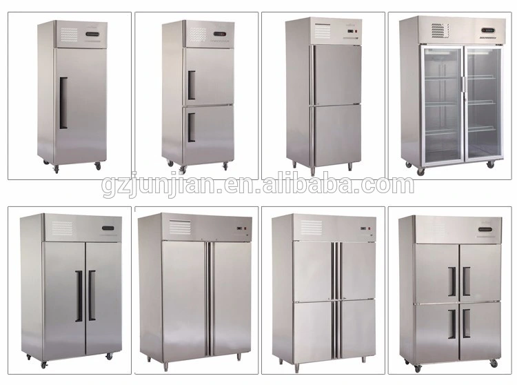 Auto-Defrost ETL Refrigerator Portable Freezer for Hotel Kitchen Restaurant Meat and Seafood