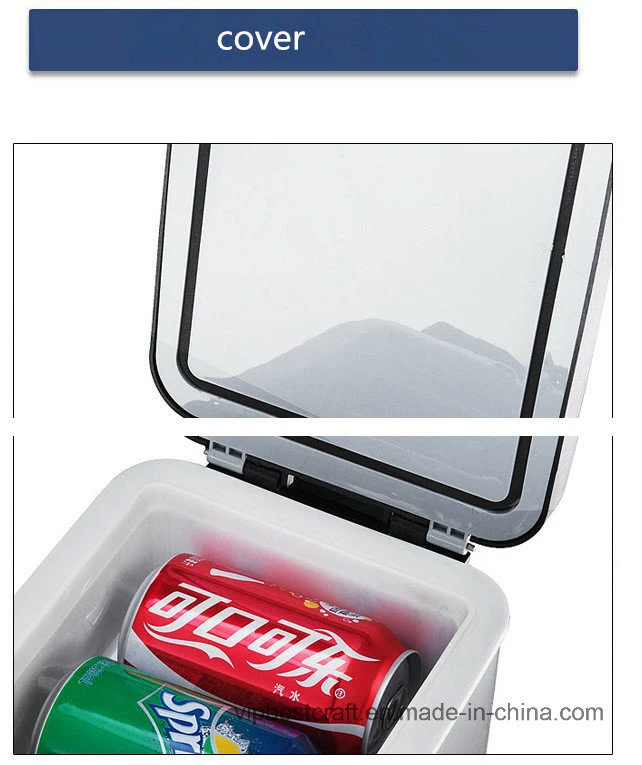 DC 12 Car Fridge with Good Quality and Best Service