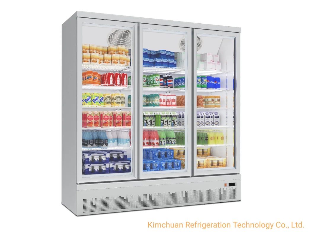 Portable Fridge Freezer Chiller Display Super Market Showcase Deep Freezer