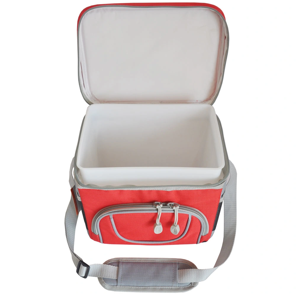 Insulated Cooler Bag with Inside Plastic Cooler Box for Promotion
