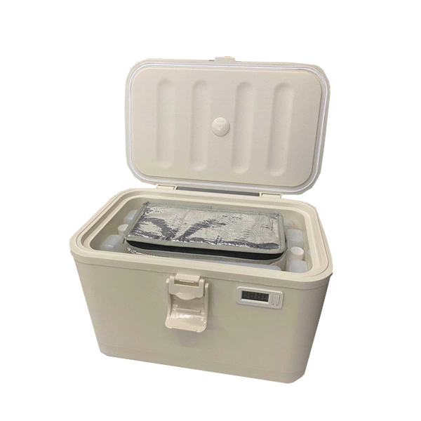 8L Cooler Box for Camping Best Hard Sided Lunch Cooler