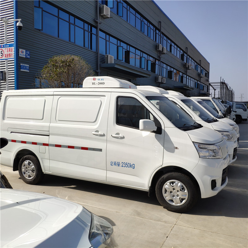 1 to 2 Tons Mini Freezer Car Refeer Van manufacture