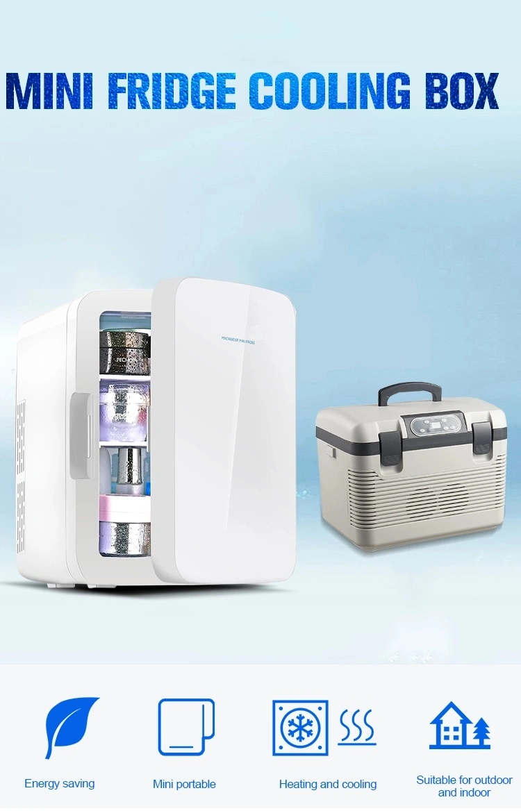 Wholesale 12V DC 110V AC Portable Cosmetic Car Mini Fridge