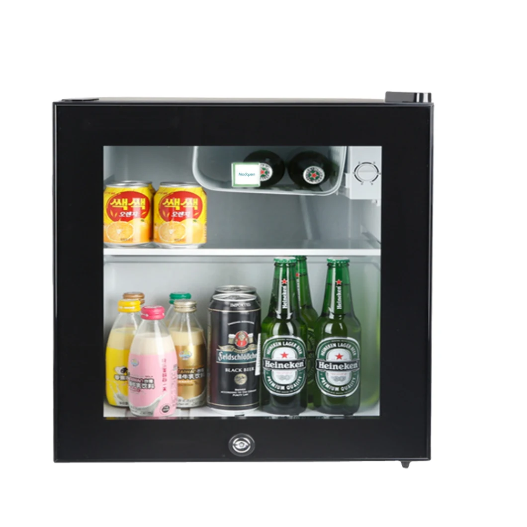 Portable Mini Fridge 46L Small Refrigerator and Freezer Mini Fridge Refrigerator Home