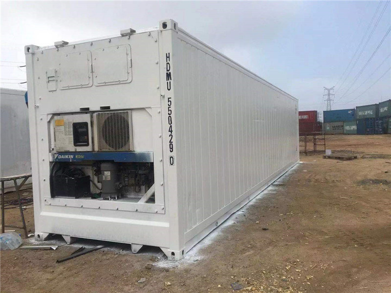 Container Freezer Cold Rooms and Freezer Rooms Professional Container Blast Freezer/Blast Freezer
